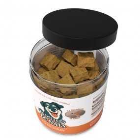 Les délices de Naïa au saumon - 100g ouvert