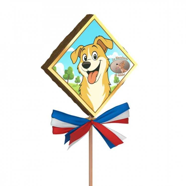 Sucette Brénus Sucette Brénus