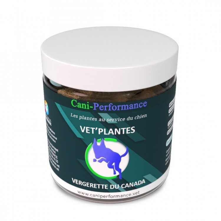 Vergerette du Canada 100g