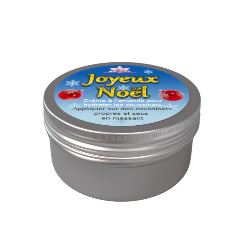 mini creme de noel mini creme de noel