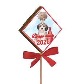 sucette bonne année