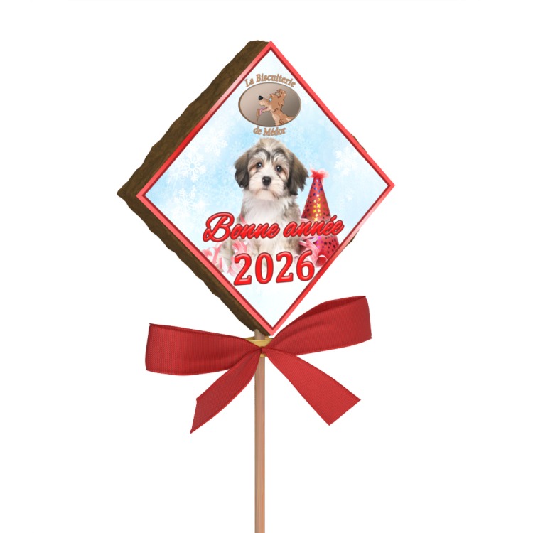 sucette bonne année