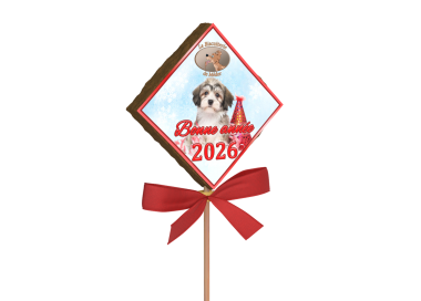 sucette bonne année