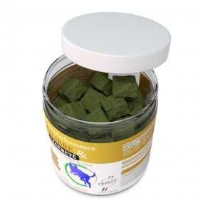 Equilibre & Légèreté