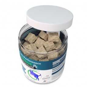 Voyage & Tranquillité