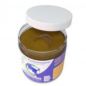 Programme récupération