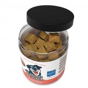 Les délices de Naïa au saumon - 100g 2