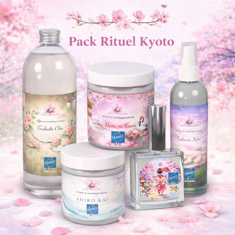 Rituel 6 soins Le secret des jardins de Kyoto