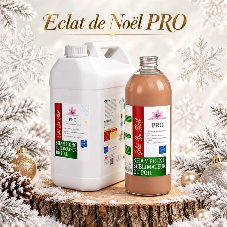 Eclat de Noël PRO
