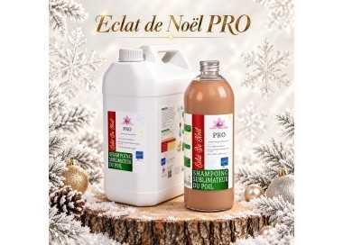 Eclat de Noël PRO
