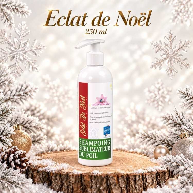 Eclat de Noël