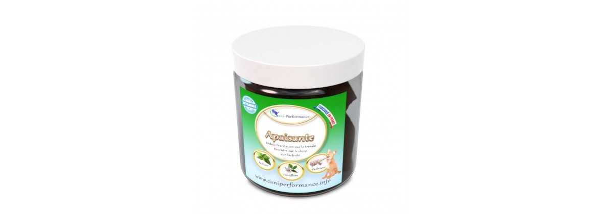 Friandises pour chien contre l'arthrose