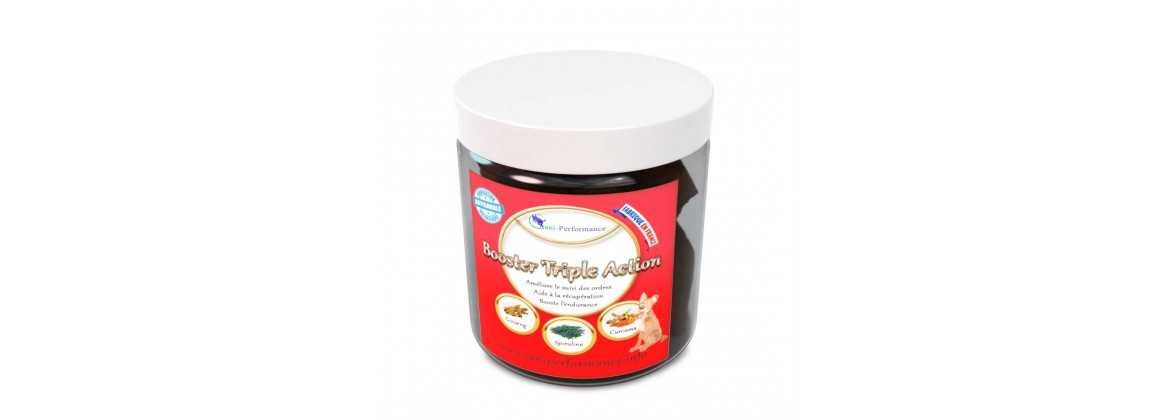 Poudre antitartre pour chien