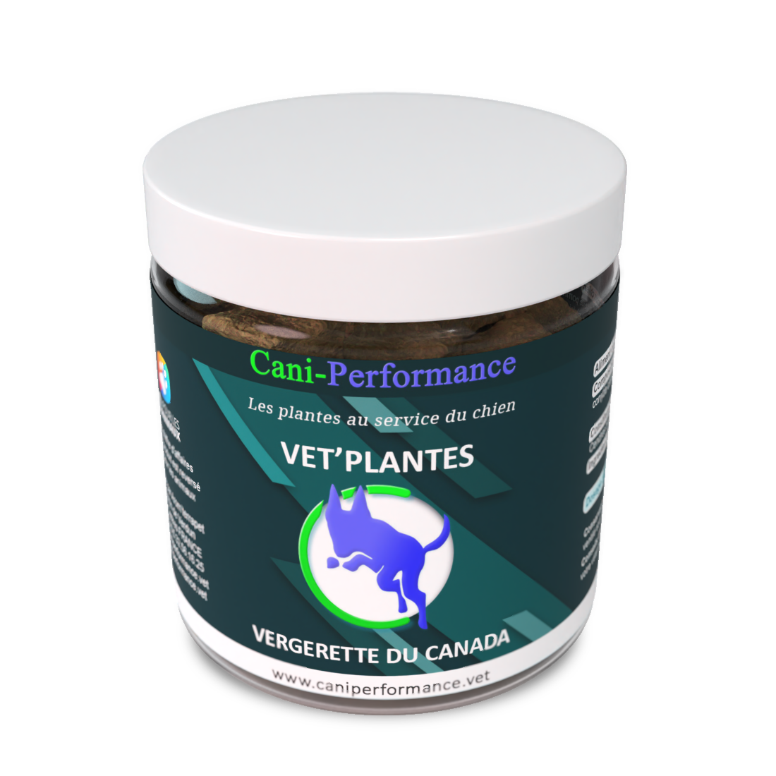 Vergerette du Canada